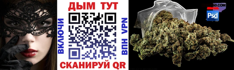 darknet наркотические препараты  Тетюши  Канабис тримм 